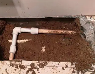 黄石港测漏水哪家好