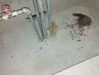 黄石港卫生间测漏水价格明细