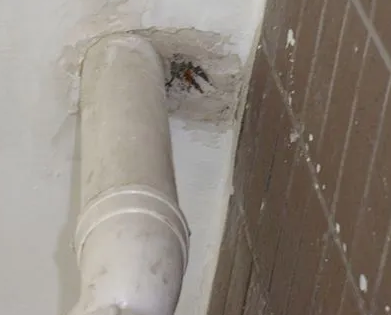 黄石港漏水检测哪家好